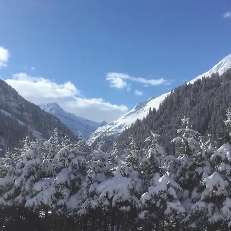 Appartementhaus Riepler Bad Gastein